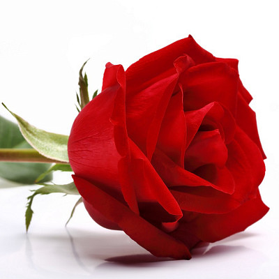 Стол с фотопечатью D_0,9 (flowers 22) round "Амели" - 2