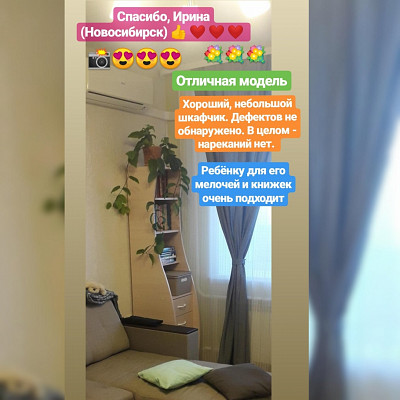 Стеллаж work S "Ричи" (Орех/Персик) EsandwichC-01 - 2