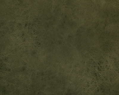 Кресло Дакота (Велюр Kengoo Olive (AT) - 2