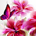 Стол с фотопечатью D_0,9 (butterfly 2) round "Амели"