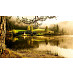 Стол с фотопечатью 1,2 (nature 2) "Амели"