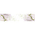 Фартук 2440*610/4мм  глянцевый "Primavera" (МДФ)(Фотопечать Белые цветы)-Lk/AG-64