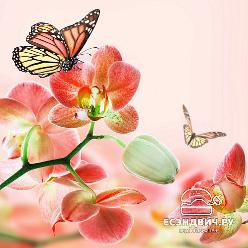 Стол с фотопечатью D_0,9 (butterfly 5) round "Амели"