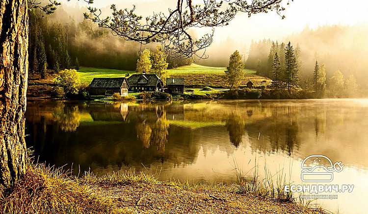 Стол с фотопечатью 1,2 (nature 2) "Амели"