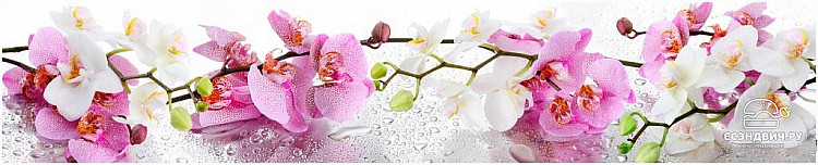 Фартук 3000*610/3мм  глянцевый "Primavera" (ПВХ)(Фотопечать Белые и розовые орхидеи)-Lk/КМ-47