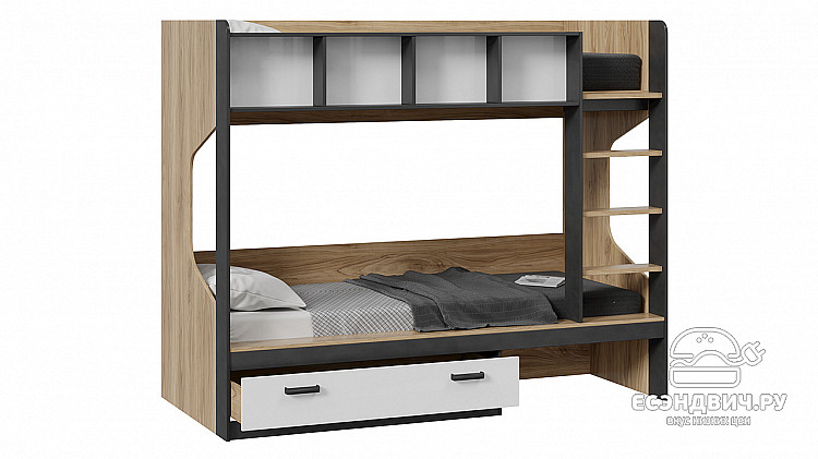 Кровать двухъярусная "Rico"(Яблоня Беллуно/Белый глянец/Матера)-Tr-Рк