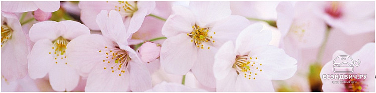 Фартук "Primavera" 2440*610/4мм глянец (МДФ)(Фотопечать Цветущий сад) AG-06/Акция0321